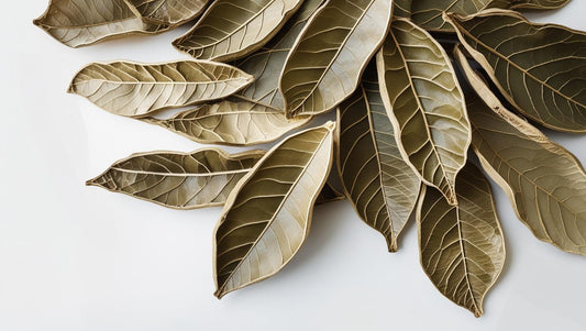 Guava Leaves